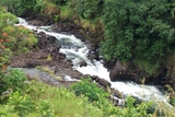 Hilo Hawaii Wailuku River